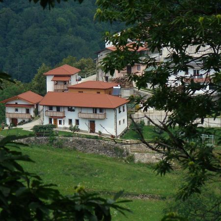Apartmaji Nena Rocinj Exterior foto